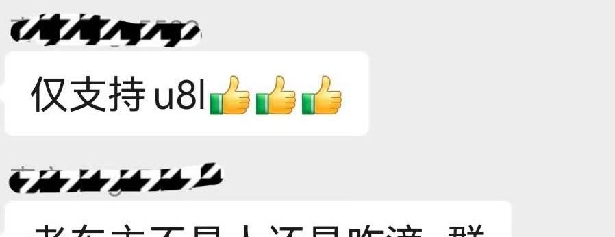 仰望车主：“群主咱们去维权吧！新出的东西不带U8、U9玩！”咋的？仰望车主也