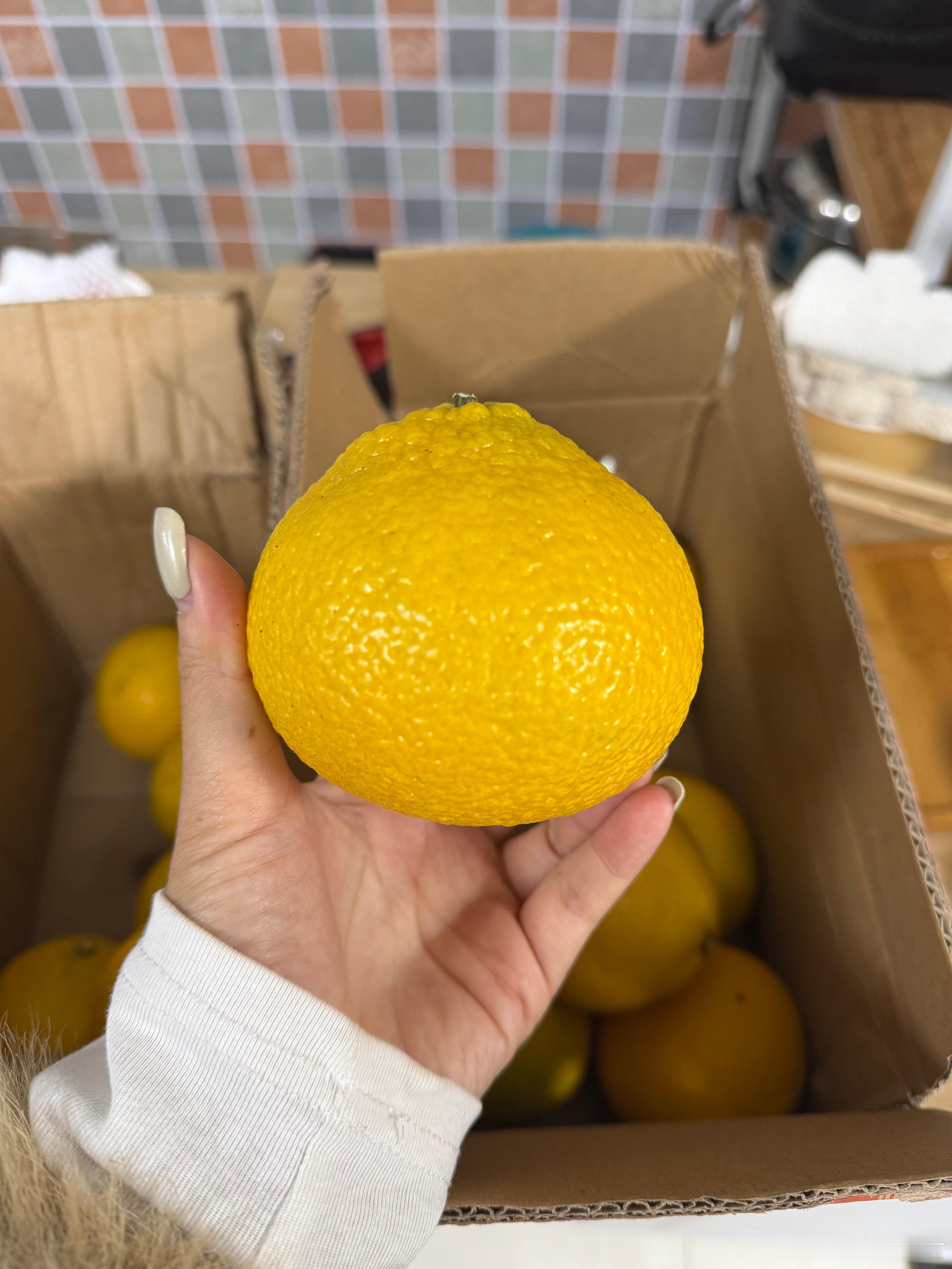 今日试吃福建桔柚，比去年的好吃！！纯甜还带有蜜香，虽然看着跟橙子差不多，但是味道