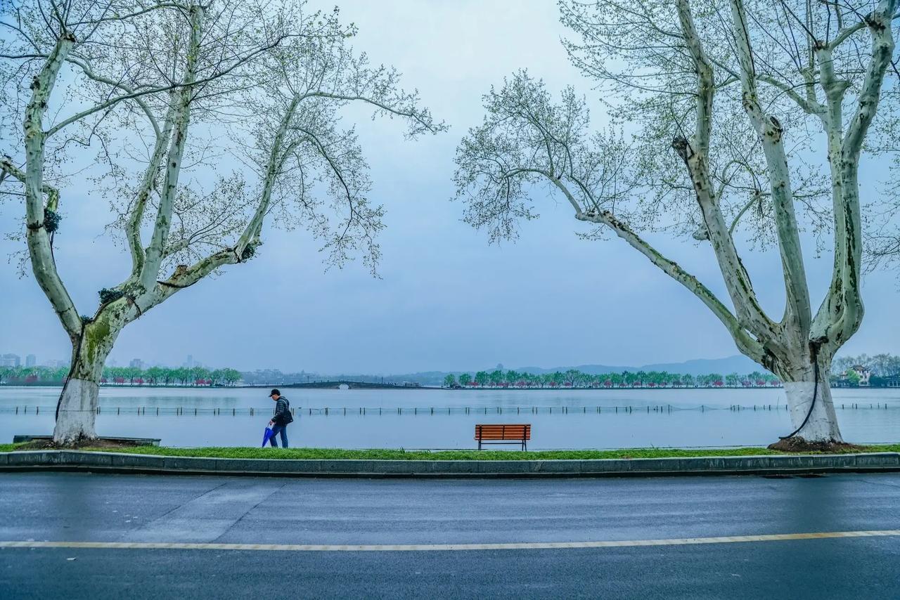 今天接待了一位高二的学生家长，他们家的孩子在重点高中，原来的成绩蛮好的，但是这一