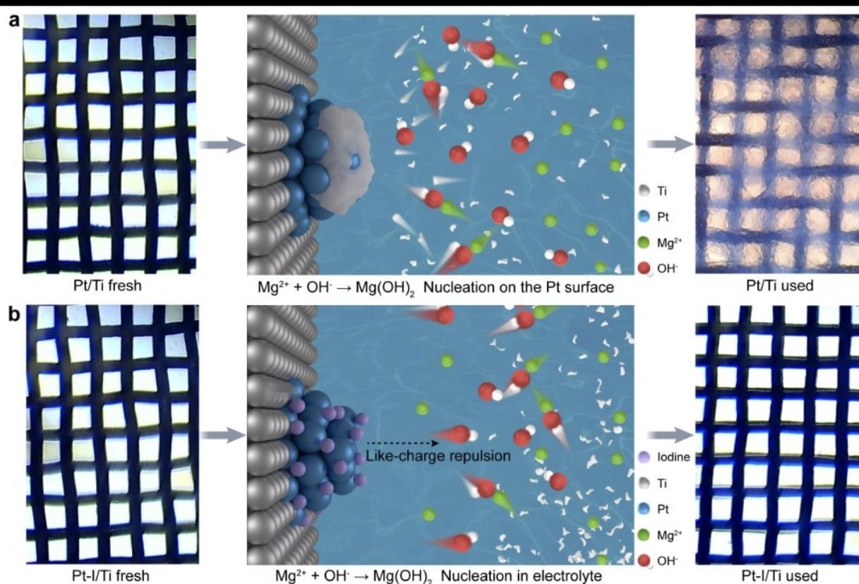 我国突破海水制氢提镁联产技术，大幅降低氢气生产成本。针对电解水制氢成本高的挑战