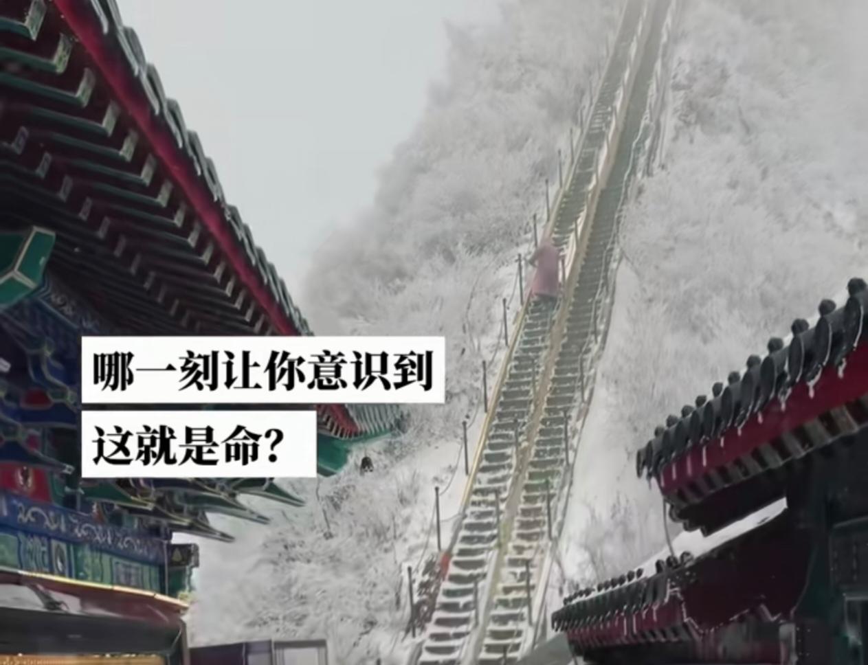 公司一个办公室的同事离了两次婚。她性格内向，老实本分，受原生家庭影响，心里一直