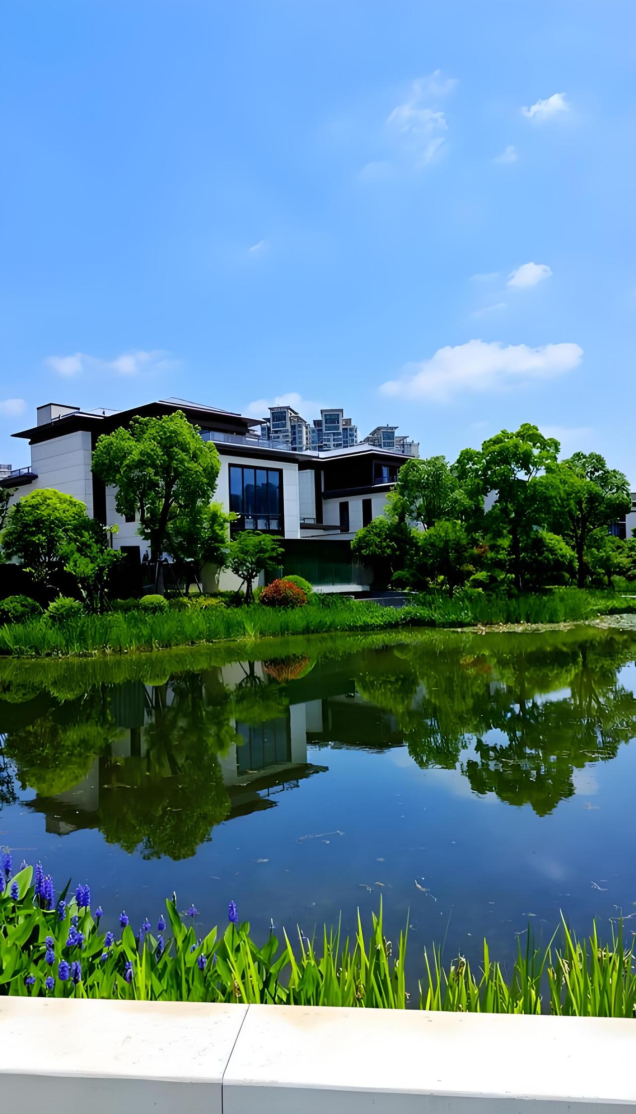 12月中旬上海二手房逆势走俏，背后藏着哪些买家的身影？12月中旬，全国楼市