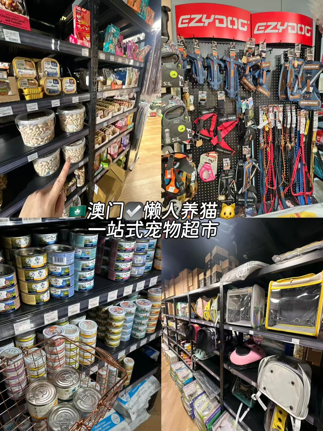 🛍️ 澳门养宠人福音！5000尺宠物超市太好逛了 在氹仔发现了一家超...