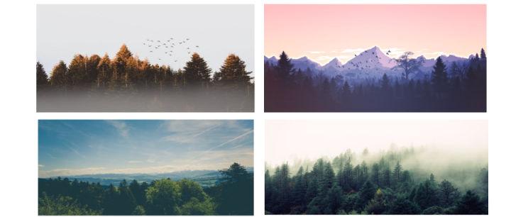 1、气血不足的人，多半性子急躁、肝火旺盛，明明身体底子弱，却总陷在焦虑里走不出来