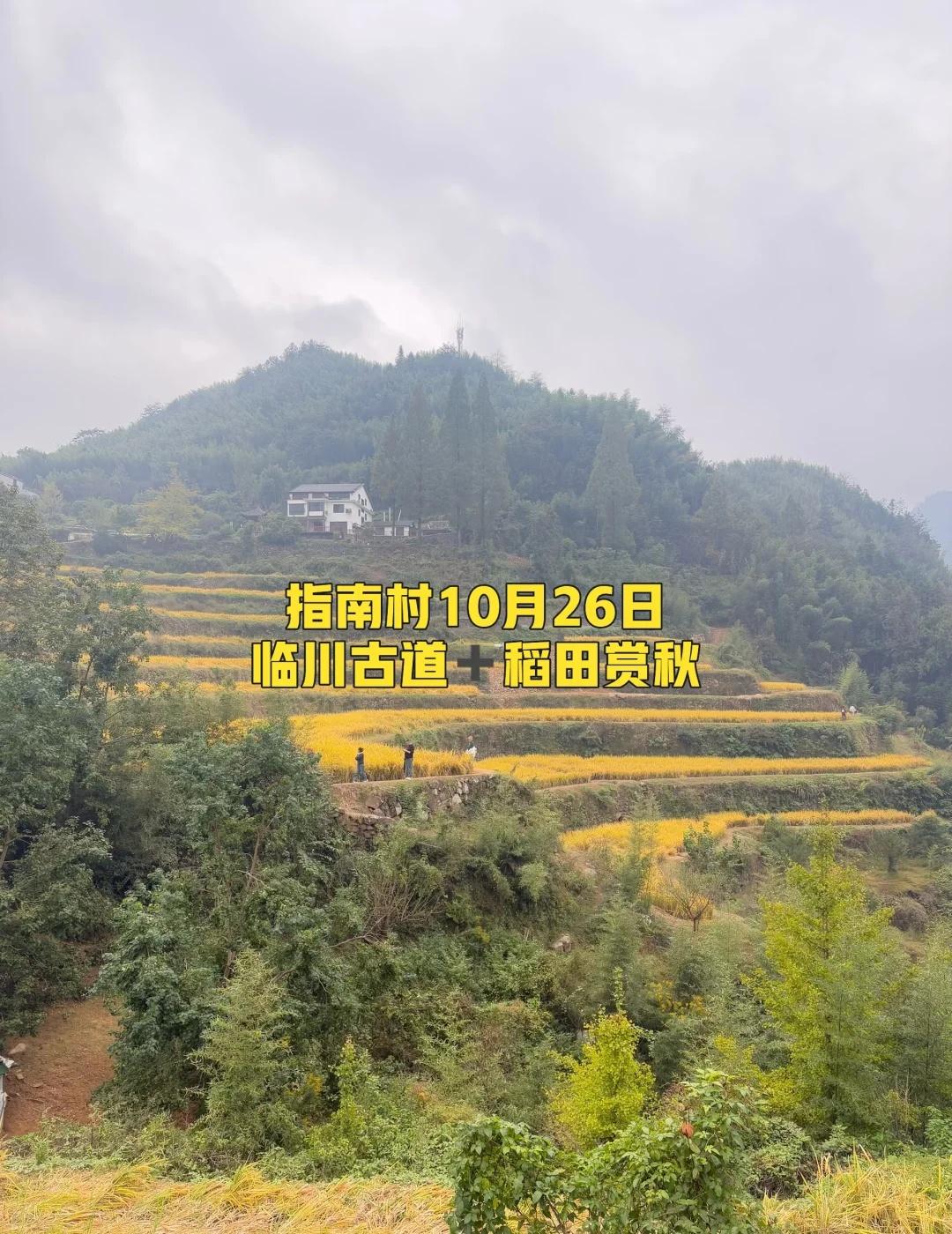临川古道➕指南村，徒步赏秋好时候！[赞]临川古道环线6公里吸氧轻徒步；指南村梯