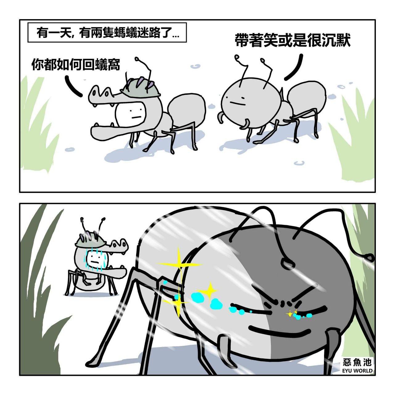 有两只蚂蚁迷路了