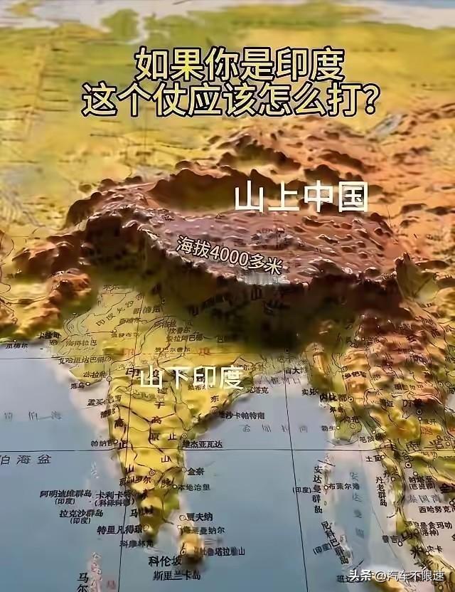 50℃的印度怎么活？还想着怎么进攻熊猫，要过来挖冰降温吗？主打昼伏夜出，上