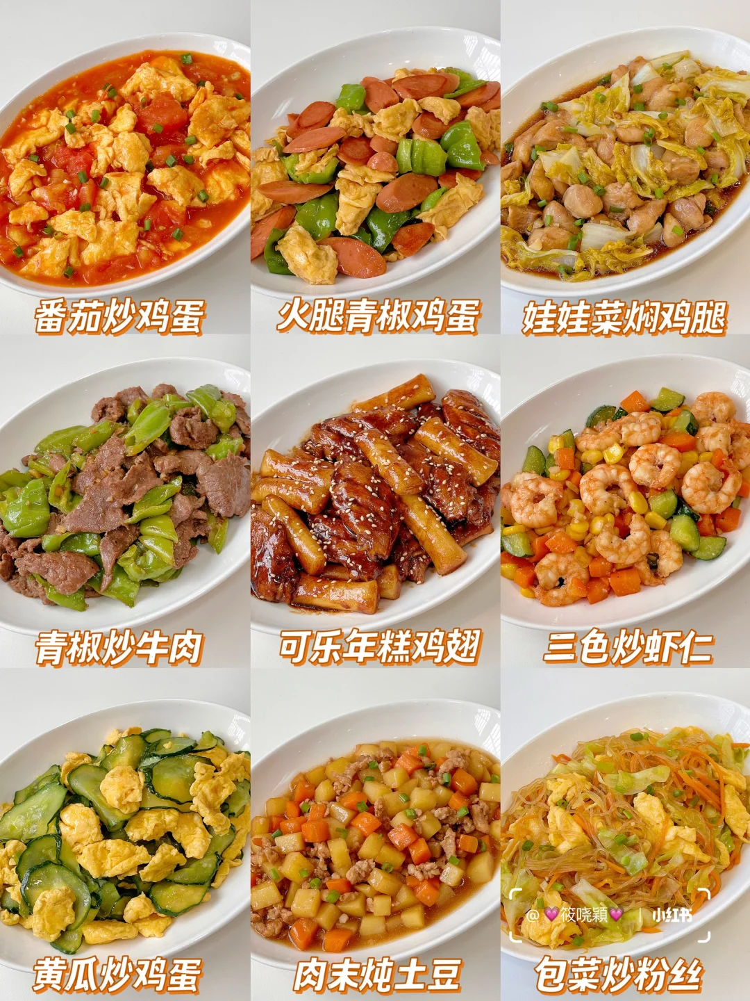 太香了‼️9道巨美味的下饭家常菜 简单零失败