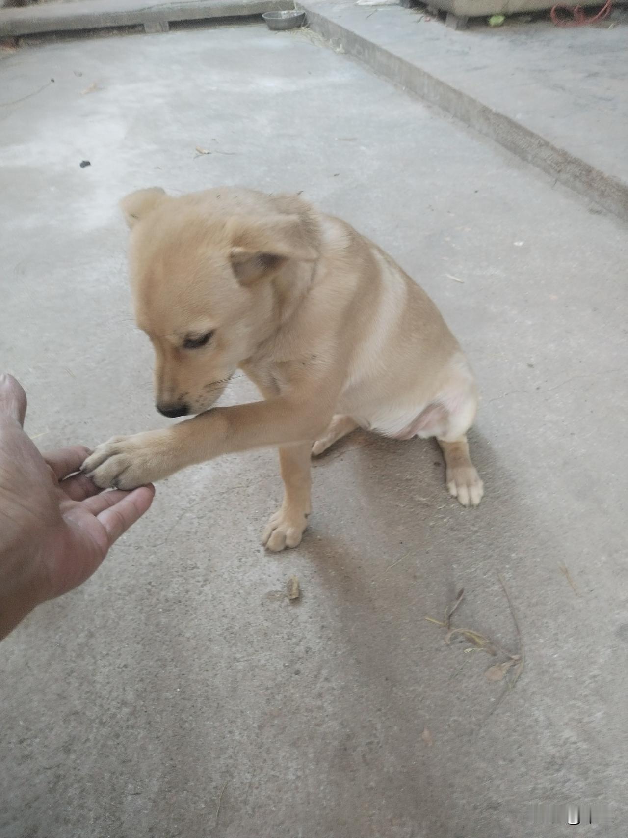 我新发布的内容被官方推荐啦！👍你也快来发布一条吧！带记录真实生活话题，更容易被