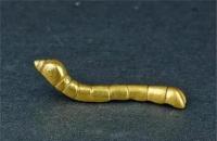 1984年，陕西一小孩在河滩边玩耍，突然捡到一只金光闪闪的小虫子，觉得好玩便放进