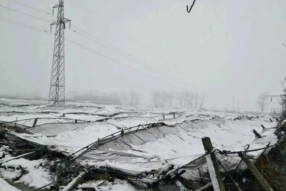 我国2008年罕见雪灾：新中国成立以来最严重，京广铁路中断，8700多万亩农作