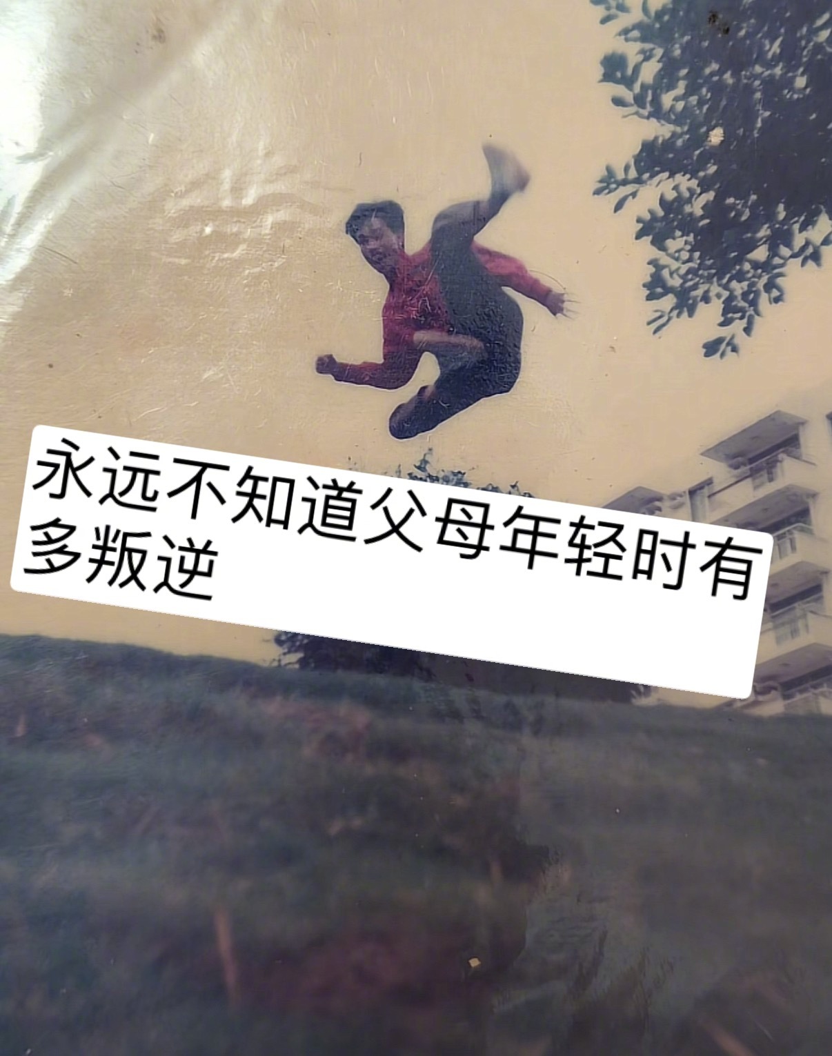 永远不知道父母年轻时有多叛逆[捂脸哭]​​​