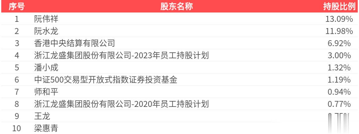 浙江龙盛(600352.SH): 2025年中报净利润为9.28亿元