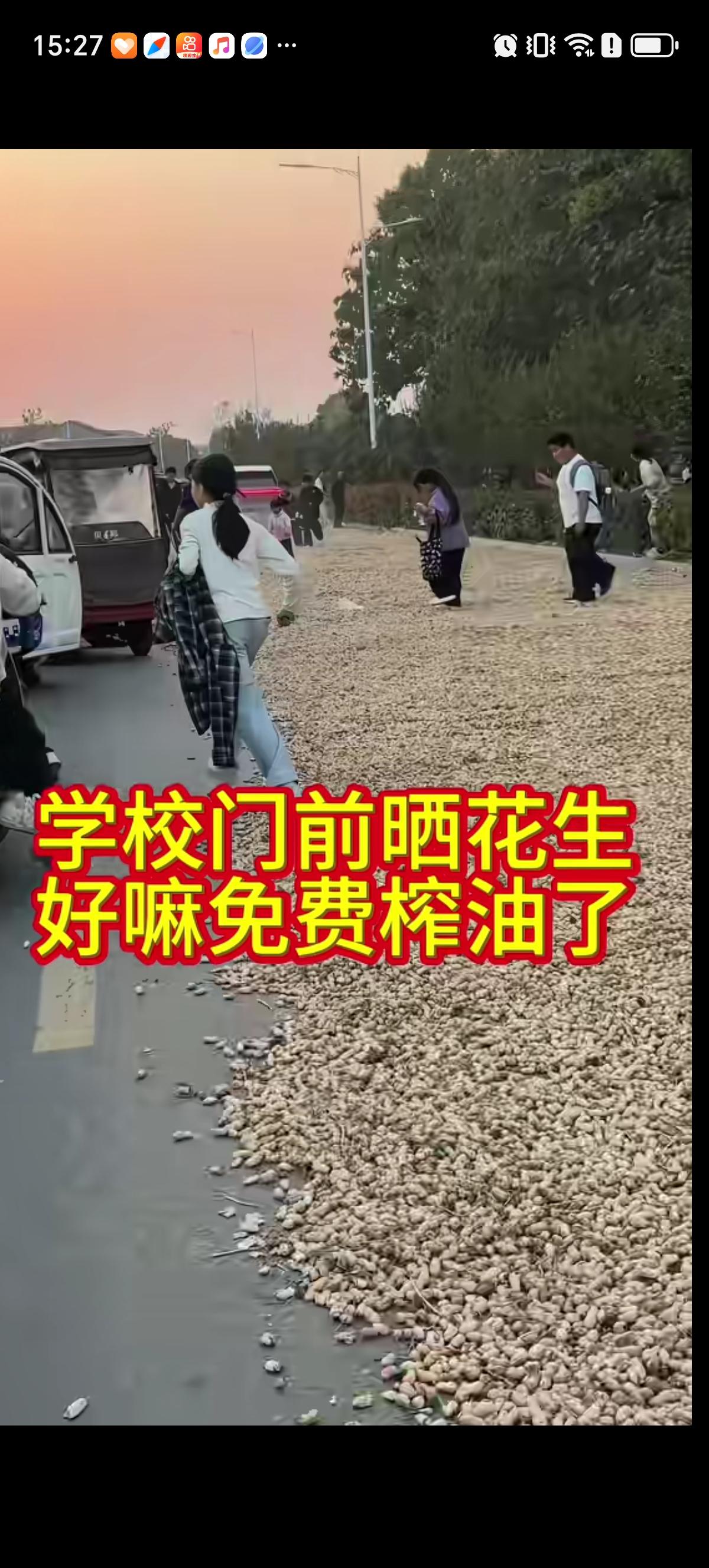 学校门口的马路上晒着成片成片的大花生，学生和过路的人都老老实实的从花生上面走过去