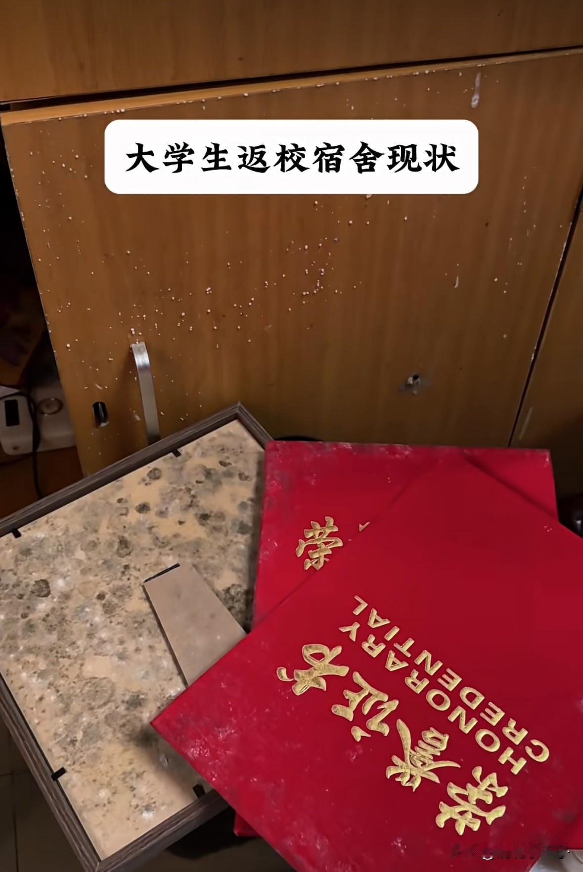 导员我不舒服，我想回家[捂脸哭]河南一大学生暑假结束后返回学校，进到寝室的一瞬间