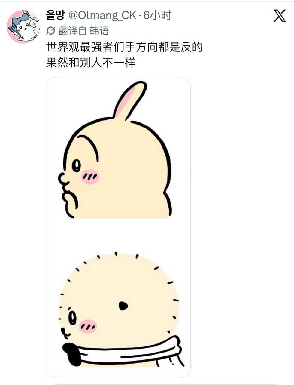 不要小瞧了兔子！​​​