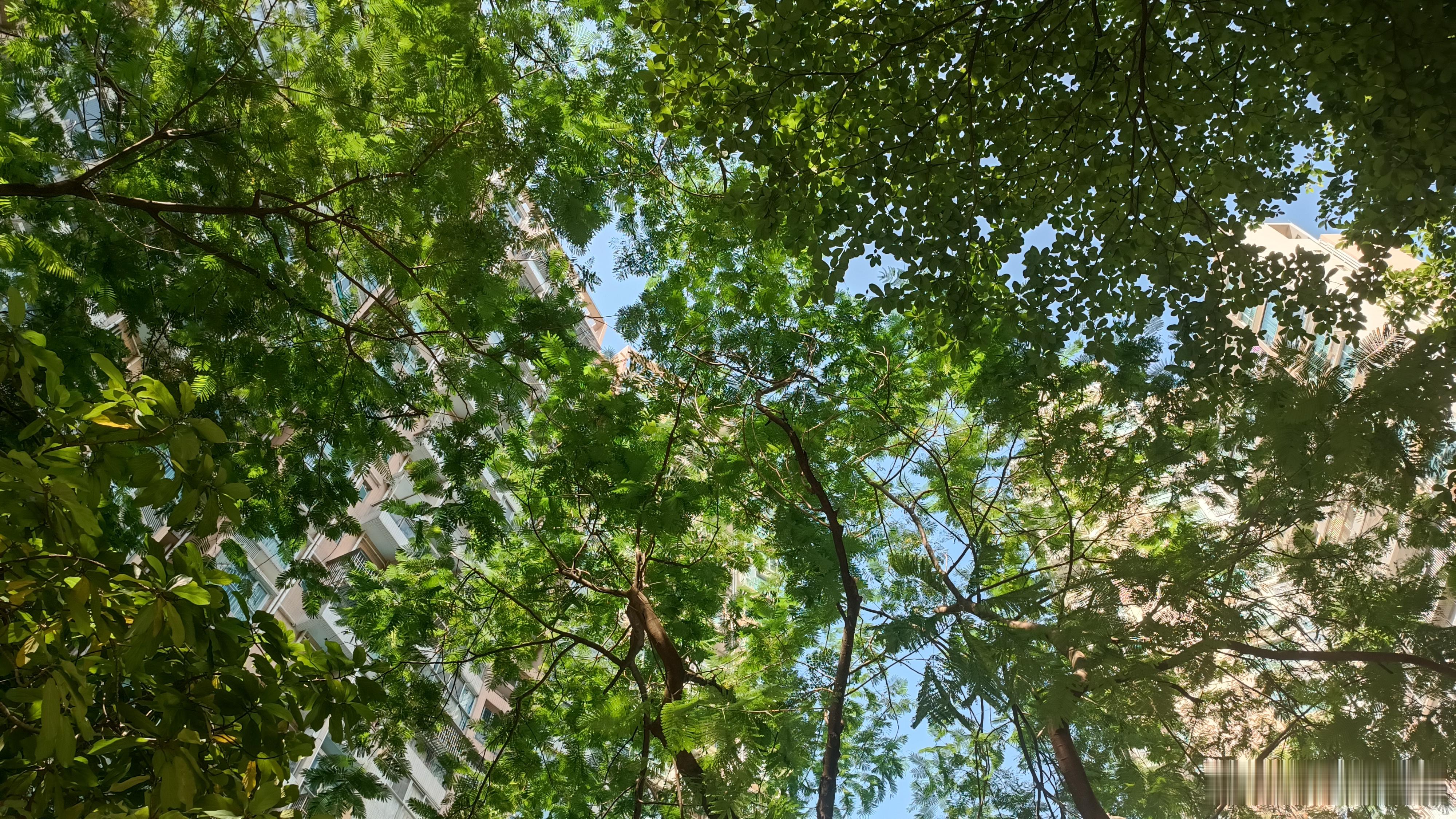 吃了一天瓜，耽误好多事。哎，大富豪和大明星撕逼关我什么事啊，早点洗洗睡吧，明天太