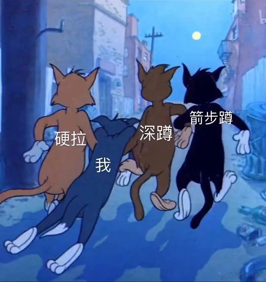 昨晚练了一下深蹲加箭步蹲，现在两腿酸疼：