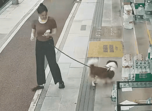 这位女子乍一看养狗还是比较讲究的，出来遛狗的时候还能拴一条绳，可是接着往下看的时