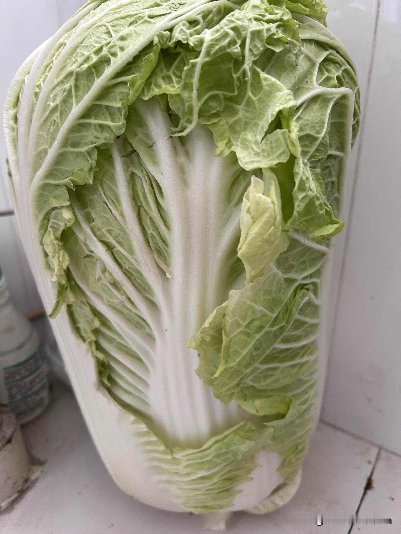 好心疼自己的胳膊肩周炎有四个月了，不抻不拽不压就不疼，可昨天真是的啊🙂‍↕