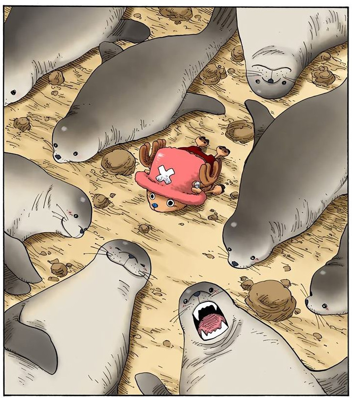 海贼王海贼王乔巴混入其中