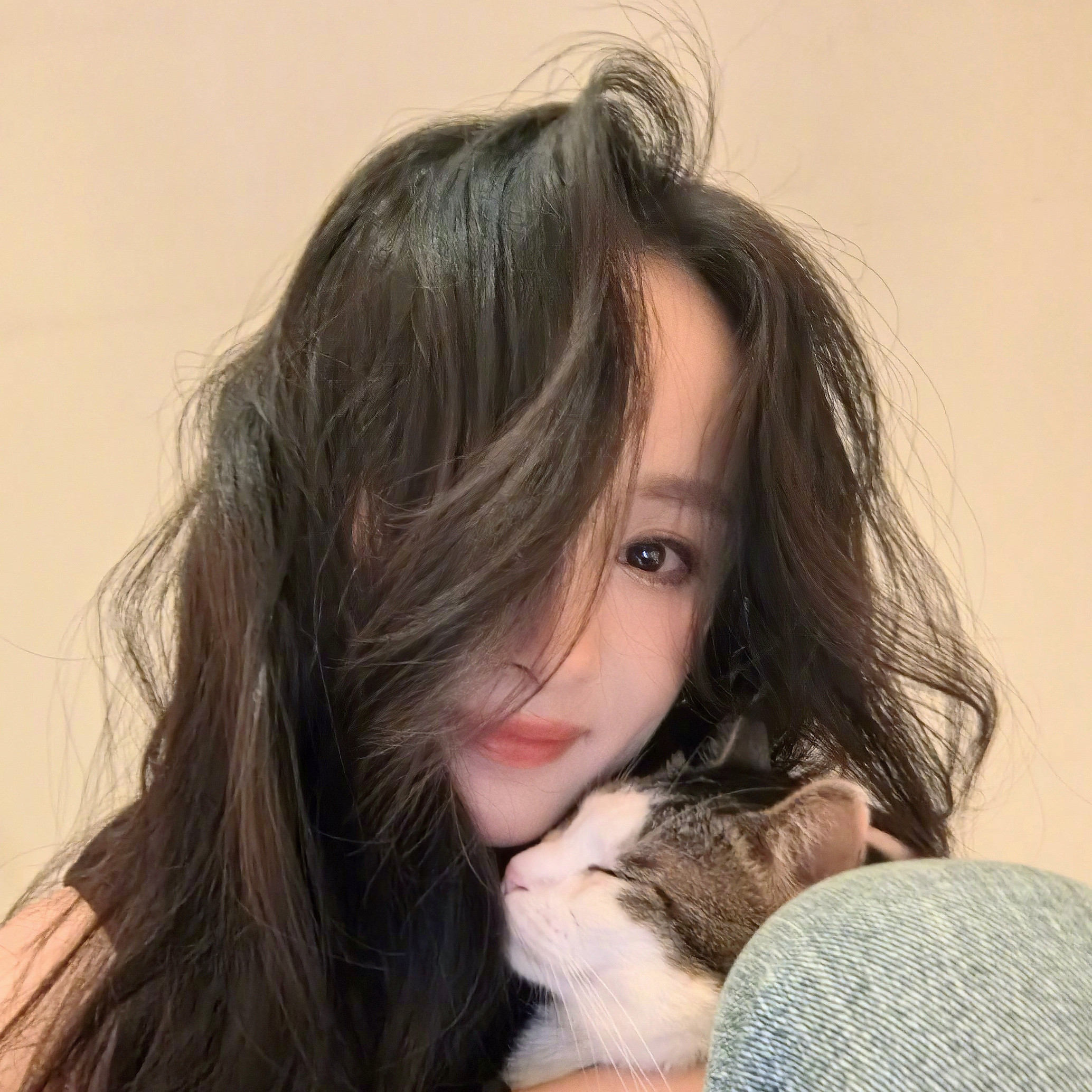 杨幂小猫贴贴新vx头像又有了！今天又是羡慕猫咪巧巧的一天！