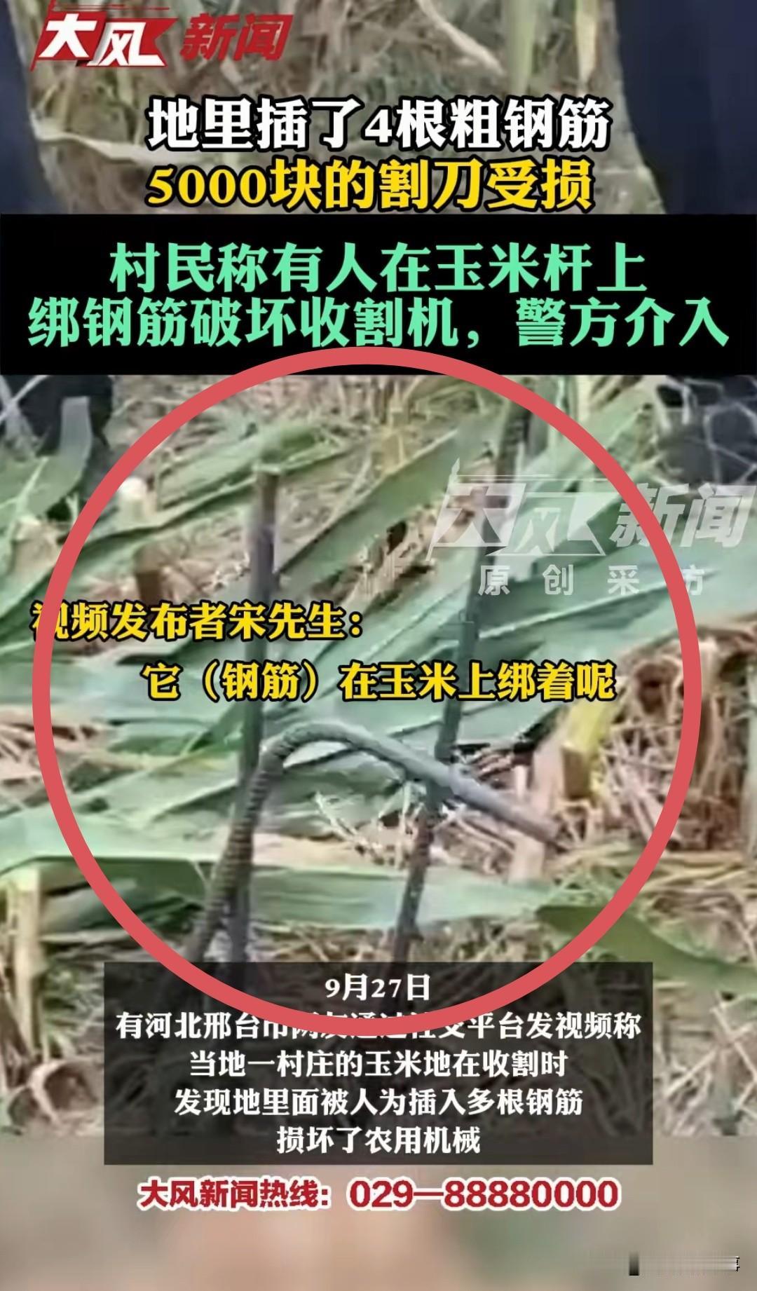 河北邢台一村民正收自家玉米，收割机突然报警，下车一看，玉米秆上被人绑粗螺纹钢筋，