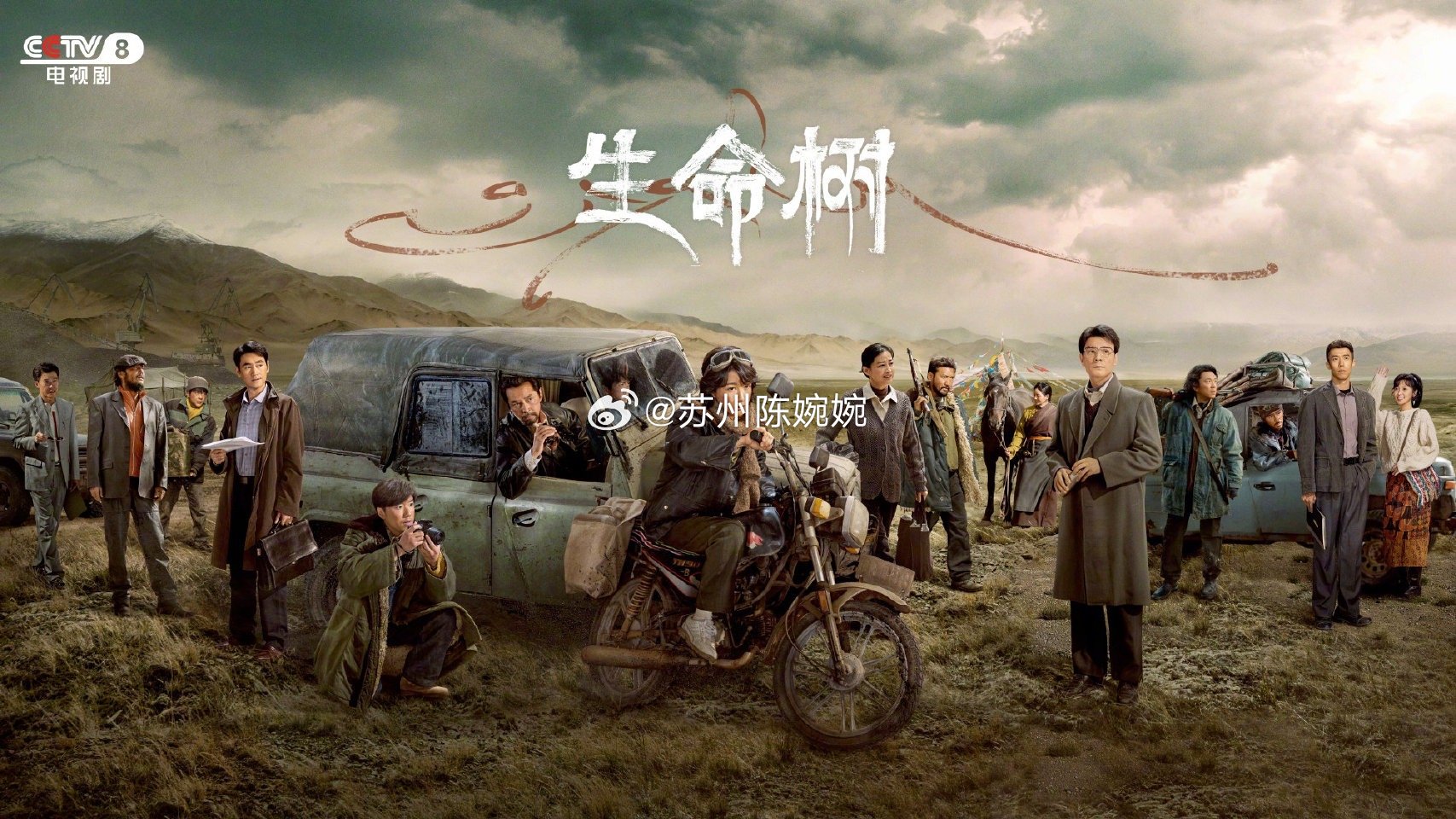 前几天和同事聊到生命树，当然了，因为都在追剧，我就问他（男同事）杨紫演的怎么样，