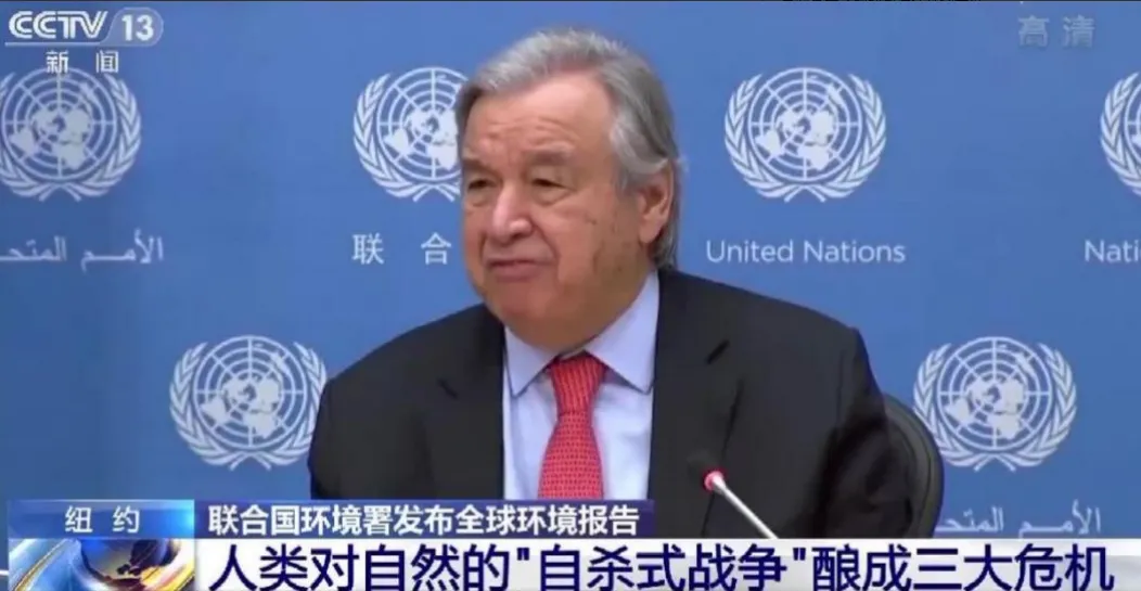 地球极寒要来了?新研究:大西洋环流暂不崩溃,但减弱后果也严重