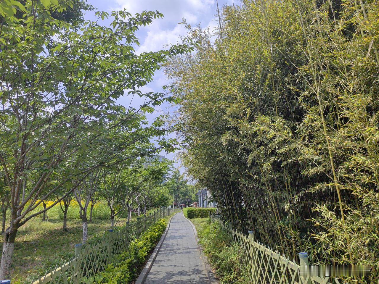 73岁大爷为女主播刷礼物，花费10多万元钱，女儿知道后崩溃大哭。那声惨叫，把
