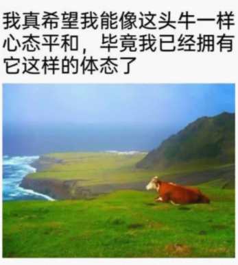 这能看清楚嘛