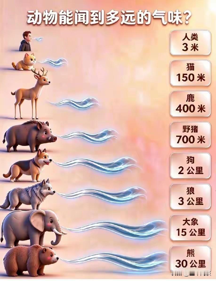 人类的嗅觉，为何退化得如此之快？才3米。反观那些野外自生自灭的动物，却全都是鼻子