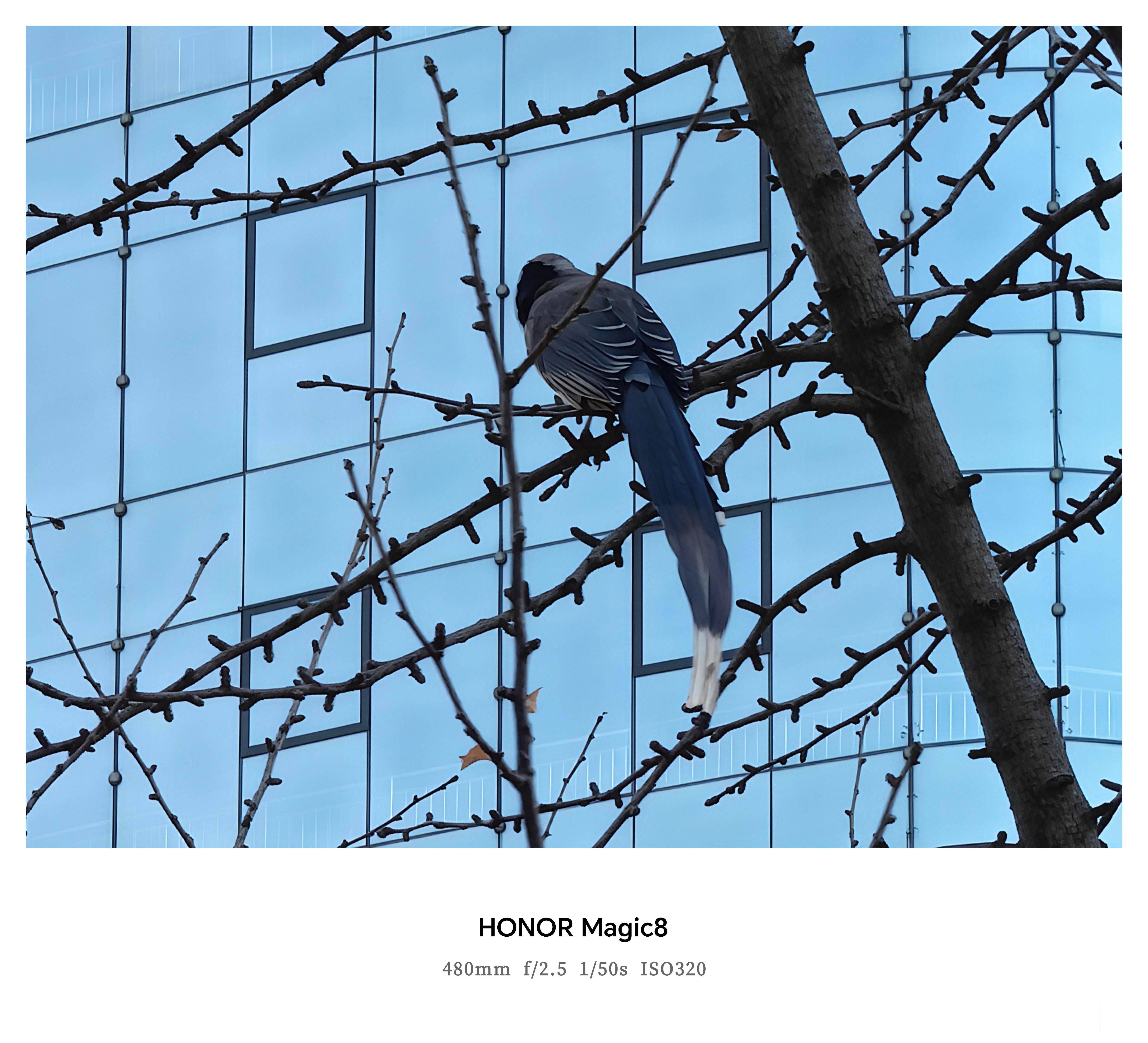 早上拍的，刚想起来发！