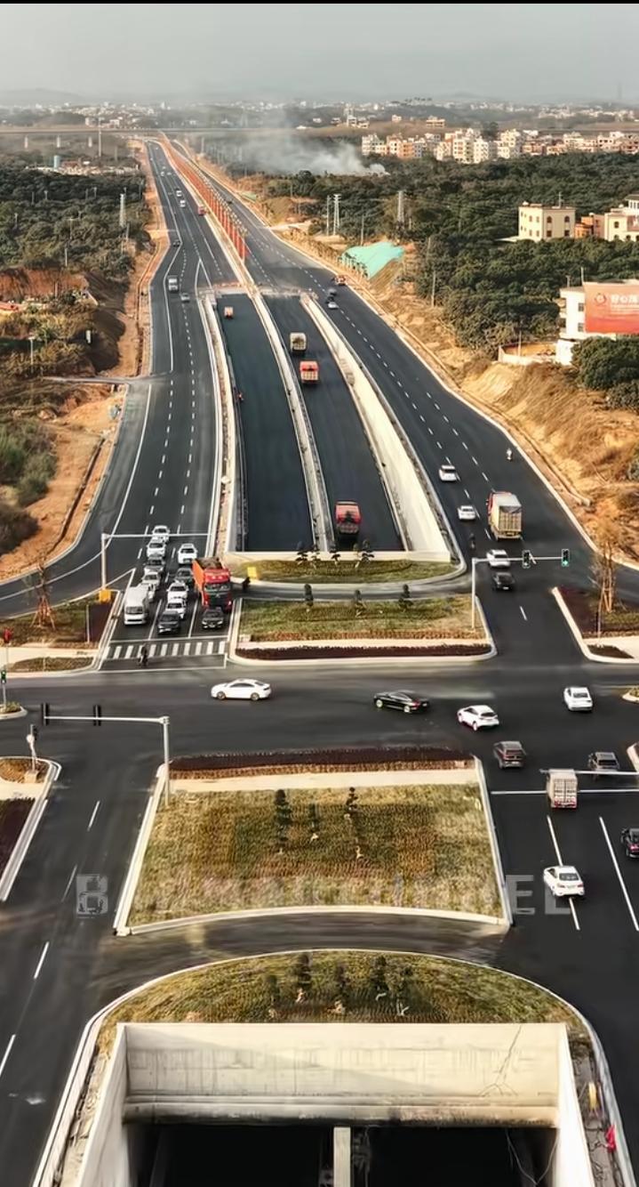 茂名能不能在经济上起飞，作为市民我们不得而知，但市委市政府在这几年的招商引资上，
