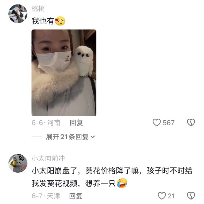 鸟：养人就是给自己种下悲伤的种子哈哈哈哈哈哈