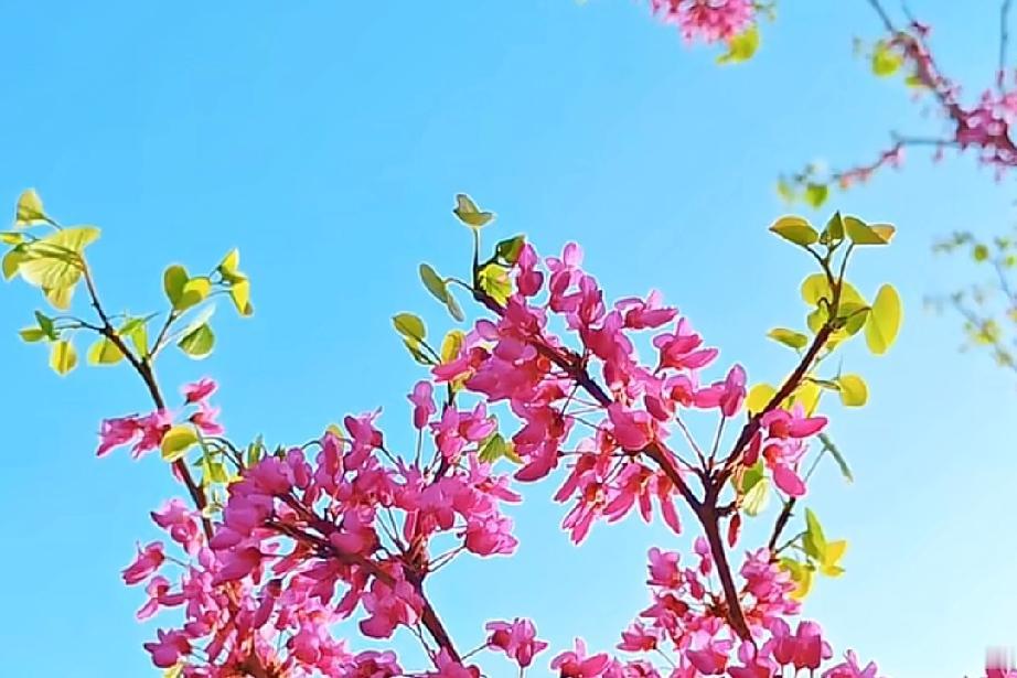 任何一个女人找你聊天都不是为了哄你开心。而是能从你身上得到少许的价值，比如陪