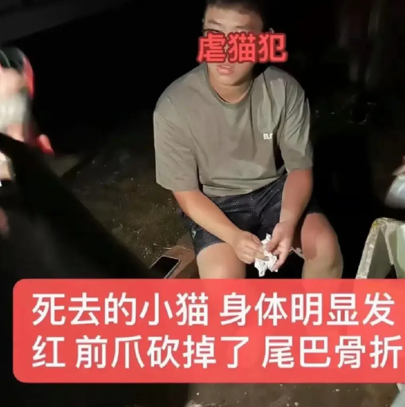 这是天生的坏种，好残忍啊，他以后会做谁的丈夫，好可怕！近日，广东湛江，海洋大学的