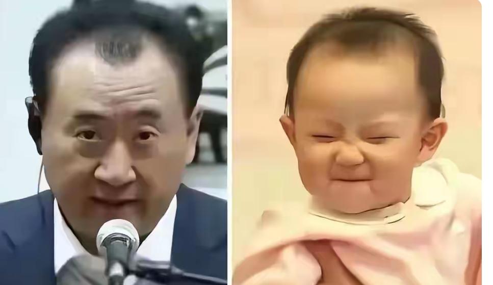 王健林也没想到，王思聪和前女友的冲动，竟让2岁孙女沦为摇钱树娱乐