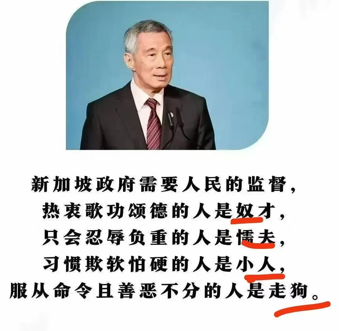 李显龙这样要求新加坡人民对不对？​​​网友就评论说：​1，要说华人中最伟