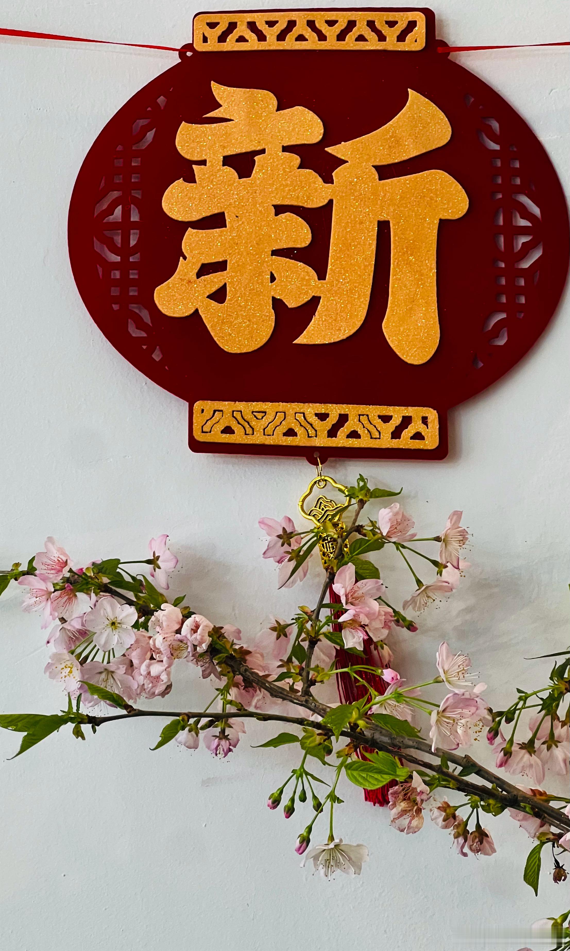 玉渊潭公园小樱驿站樱花盛开摄影