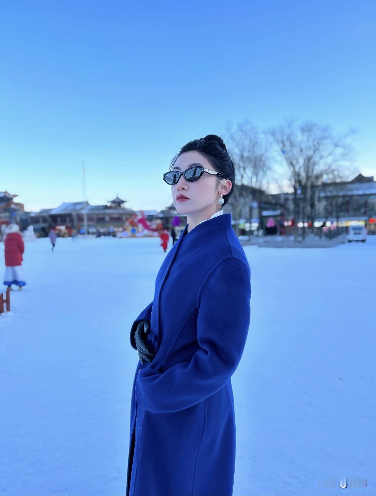 雪花飘落在树叶、石头、屋顶和马路旁，很快就铺上一层白霜，角落里的盆栽也和雪融为一