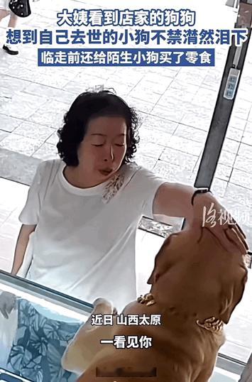 万物皆有灵性！山西太原，大姨来店里买东西，当看到店家的狗狗后直接绷不住了，不禁潸