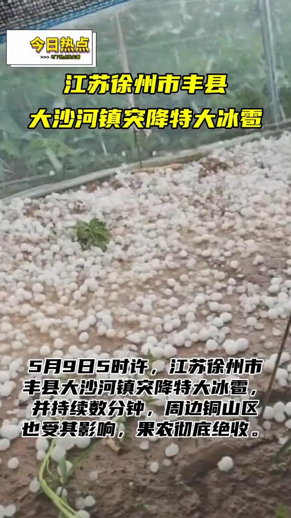 今日热点：江苏徐州市丰县大沙河镇突降特大冰雹。5月9日5时许，江苏徐州市丰县大