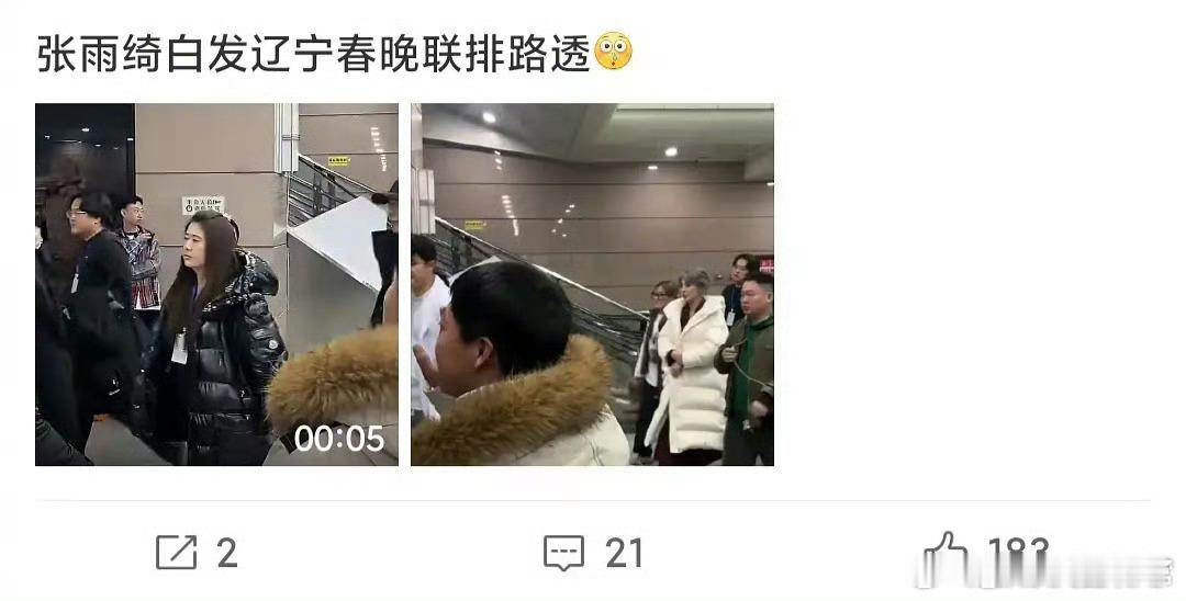 张雨绮参加辽宁春晚，于适粉丝为什么抵制啊？