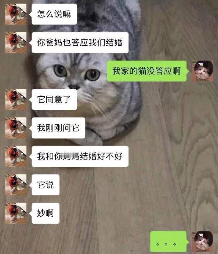 让人嫉妒的爱情啊​搞笑​​​​