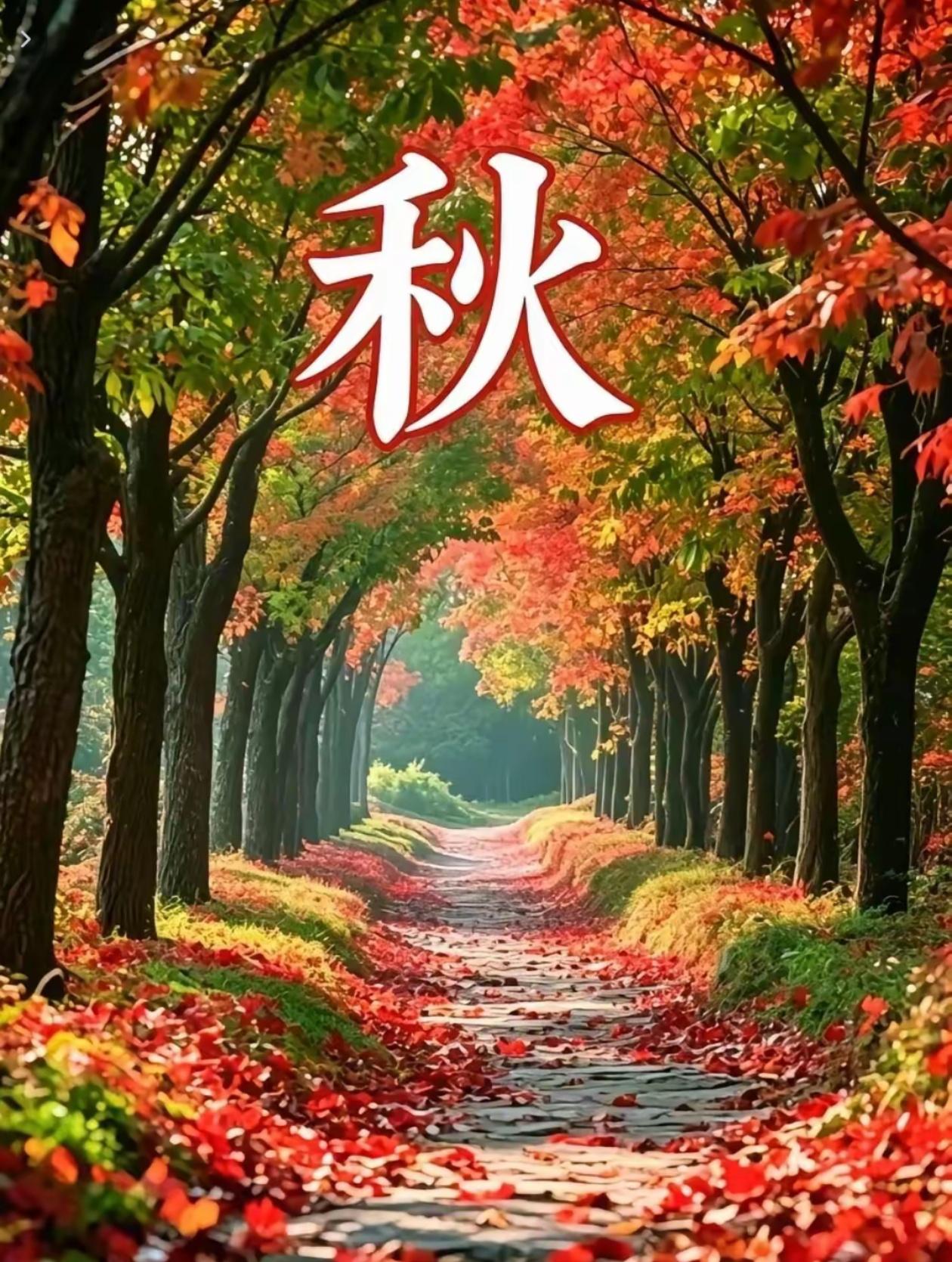 2026./8月31日，翠竹临秋，持劲节悟境🌿🍁七绝.秋竹