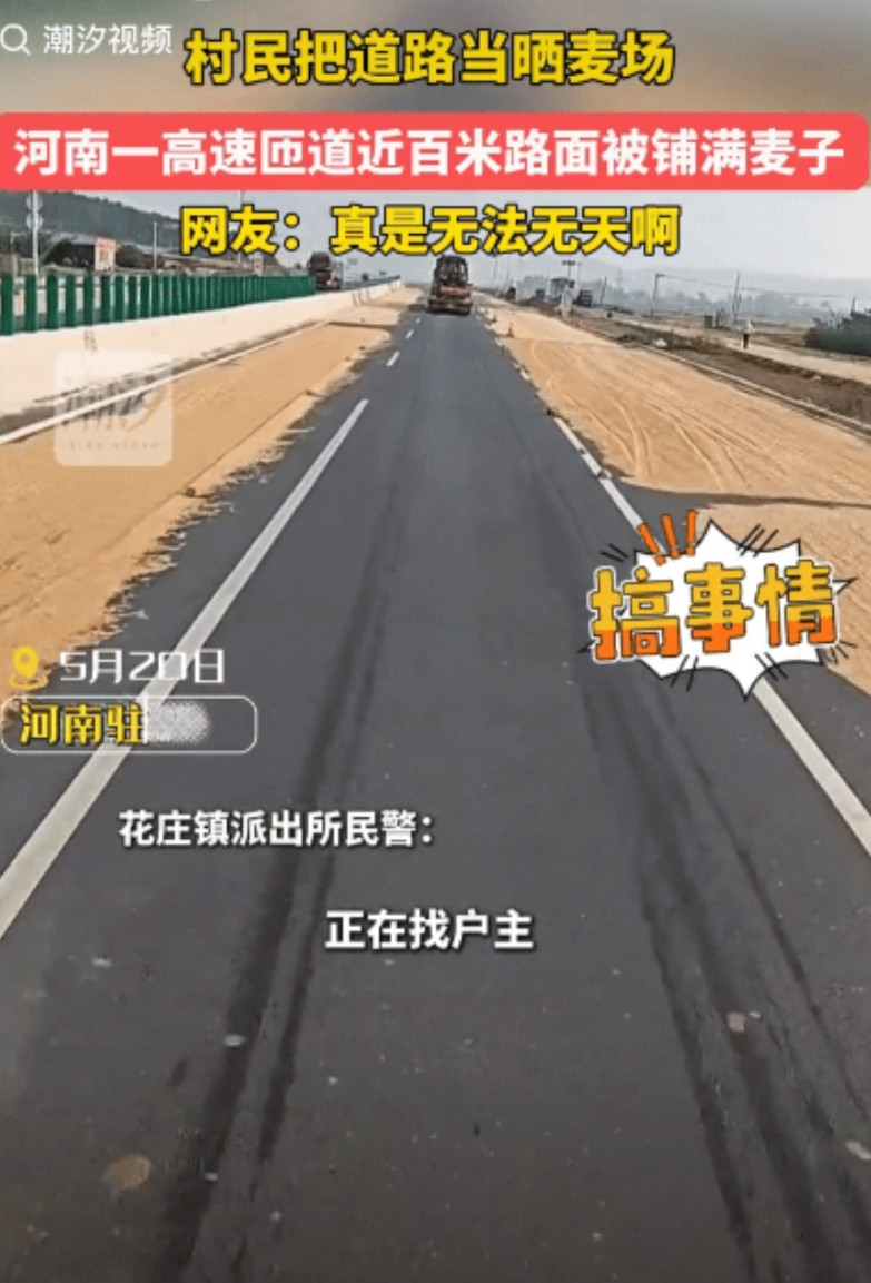 这也太自私了！河南驻马店，高速匝道近百米路面铺满麦子，只留一条道路让车辆行驶。没