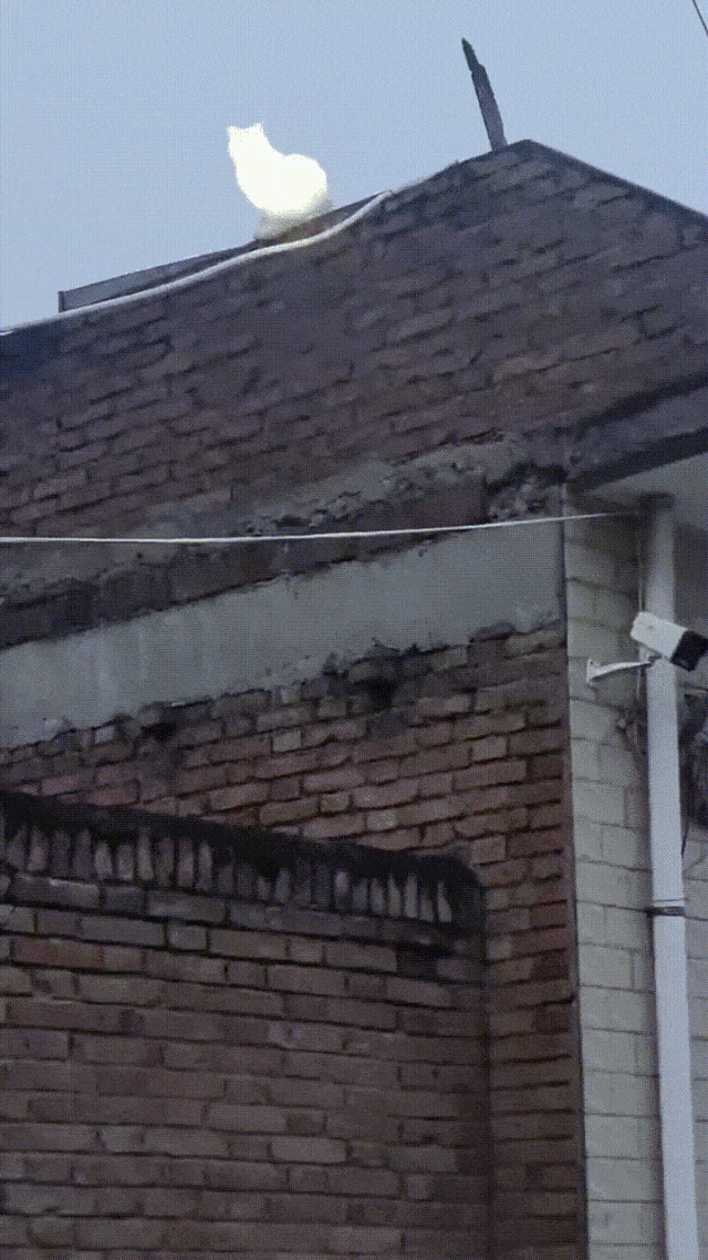 原来家里装宽带，光猫是这玩意！