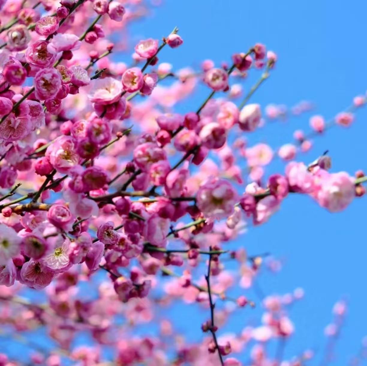 退休以后，还要不要和单位的人和事有联系？同事给了我一个答案。老张办好退休手续