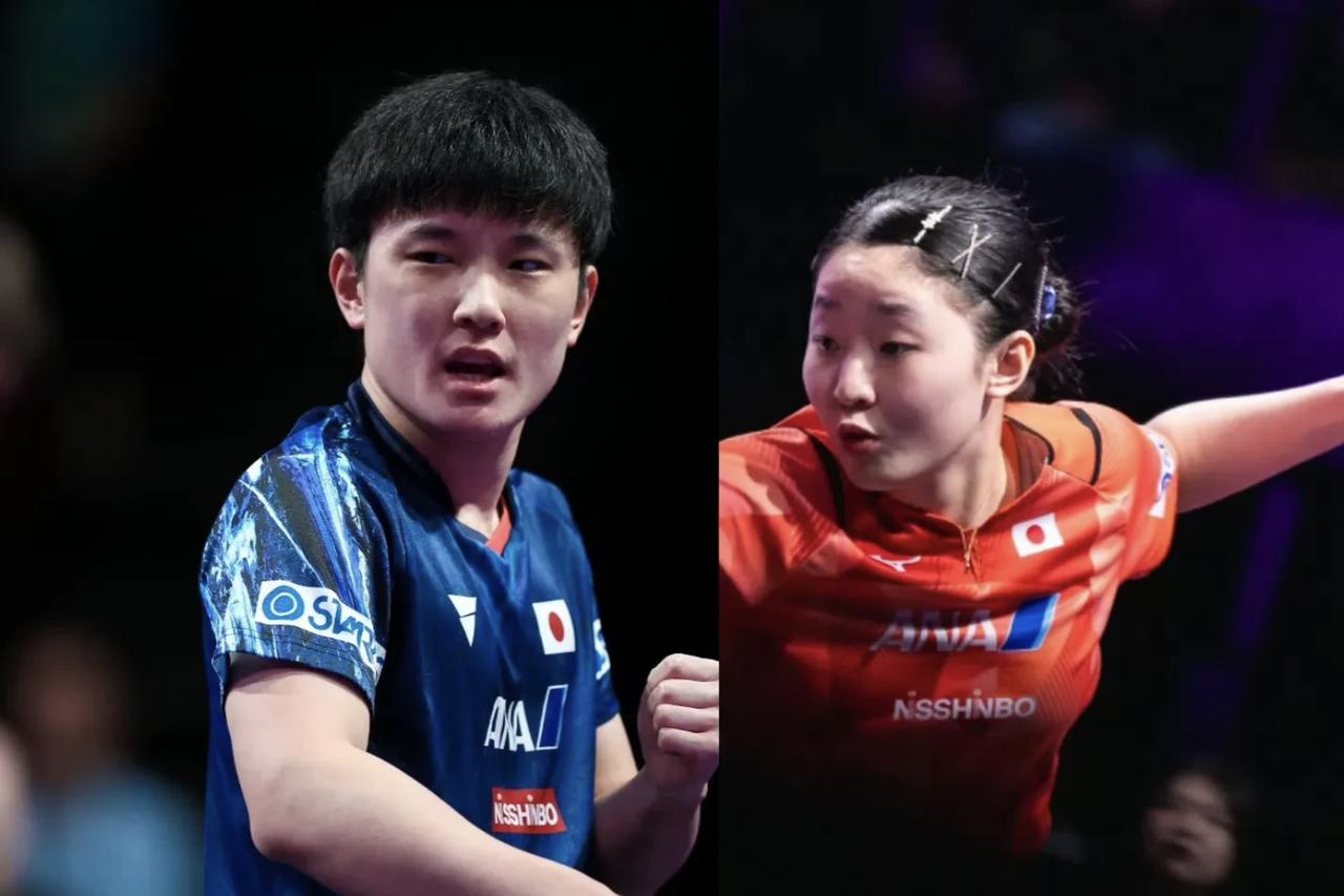 都以为张本智和是国乒心腹大患，可邓亚萍一句话，点醒了所有人：真正可怕的，是他那个